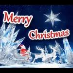 夢のクリスマス☆年末年始