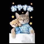 毎年使える♪リアルなにゃんこの年末年始