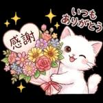 ずっと使える♪猫たちの日常