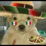 Buenos días!!!