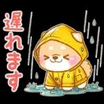 雨、梅雨、夏に使う❤️いやしばいぬ❤️柴犬