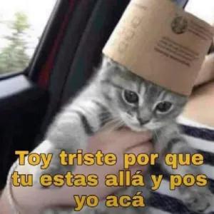 Toy triste por que tu estas allá y pos yo acá - getsticker.com
