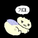 나 김야옹, 너만 바라보는 바봉