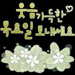 싱그러운 하루 메세지