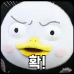 10살 펭귄 펭수의 일상 16