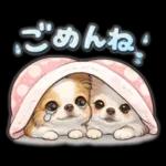 ブラン&プティ第2弾♡