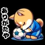 サッカー大好きな柴犬