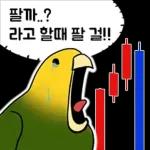 투자 전문가, 껄무새