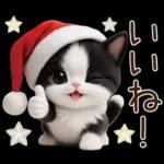 可愛いハチワレ猫 サンタ帽 冬 気づかい