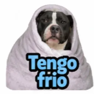 Tengo frio - getsticker.com