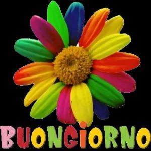BUONGIORNO - getsticker.com