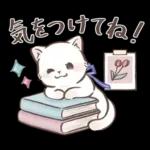 毎日使える♡大人可愛いガーリーキャット2