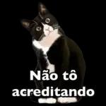 Meme Brasileiro 12092