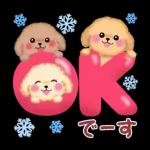 Animation only icon かわいいトイプードルの冬