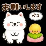 かわいいサモエド・元気いっぱいの春