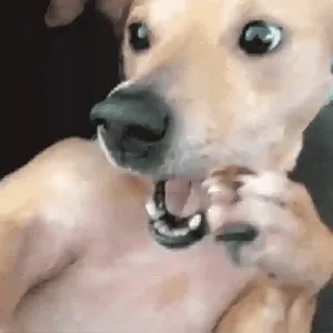 2kWISG