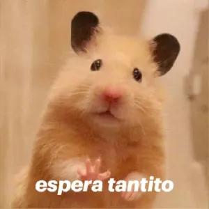 espera tantito - getsticker.com