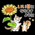 夏の毎日☆猫たちのスタンプ２