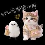 仲良し♡シマエナガと子猫ちゃん