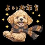午年2026年！プードルとうまの年末年始
