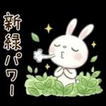 やさしい春の毎日♡ふんわかウサギ