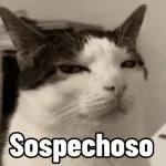 Sospechoso