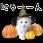 リアルな子猫ミーム（秋ハロウィン）