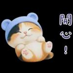 可愛小花貓超能幹的啦❤