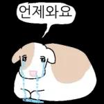 호기심 많은 소