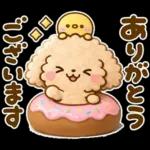 トイプードル♡ちょっと休憩スイーツ山盛り