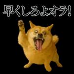 ガンギマリの柴犬＠エロ・日常会話