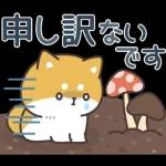 飛びだす！お返事シバイヌくん（雨の日）