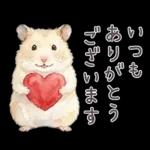 ゴールデンハムスター♡キンクマ