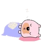 오늘 꿈에	꼭 나와야 돼💤