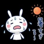 毎日使える夏☆ほぼ白うさぎ