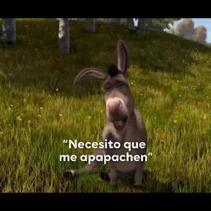 "Necesito que me apapachen" - getsticker.com