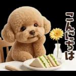 一年中使えることば集☆トイプードル