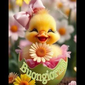 Buongiorno - getsticker.com