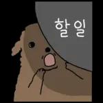 어딘가 이상한 Poo들
