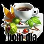adicionar 