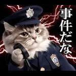 リアル猫警察官