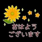 new year2023.12resale