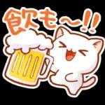 毎日♡猫ちゃんず【連絡・今何してる？】