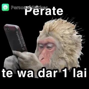 Pérate te wa dar 1' lai - getsticker.com