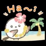 【夏】エナガさんとシマエナガさん12