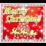 ❄クリスマス❄