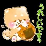 和菓子で敬語❤️いやしばいぬ❤️柴犬