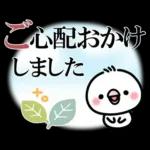 毎日しろちゃん22❤敬語・長文