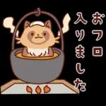 imananishiteru tanuki