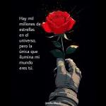 Buenas Noches Mi Amor Te mando muchos besos, que descanses.